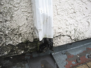 Roof leak repairs, New Westminster, BC
