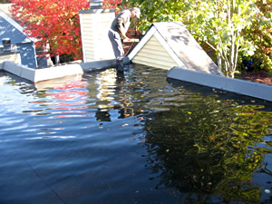 Roof leak repair, Vancouver, BC