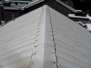 Metal roof leak repairs, Vancouver, BC