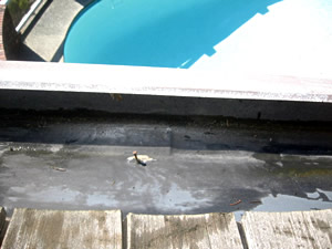EPDM gutter leak repair, North Vancouver, BC