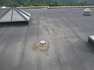 West Vancouver roof maintenance