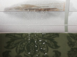 10 Signs Your Roof May Be Leaking - Crucial Roof Services