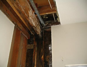 Locating a Roof Leak - Crucial Roof Services