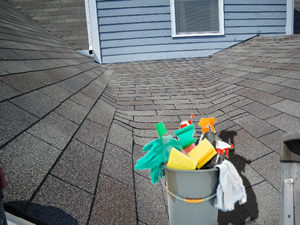 roof-spring-cleaning