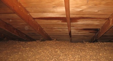 Shingle Roof Leak Repair - Crucial Roof Services